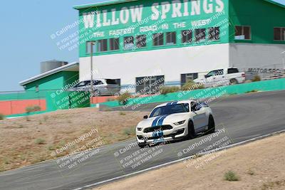 media/May-07-2022-Cobra Owners Club of America (Sat) [[e681d2ddb7]]/Blue/Session 1 (Turn 4)/